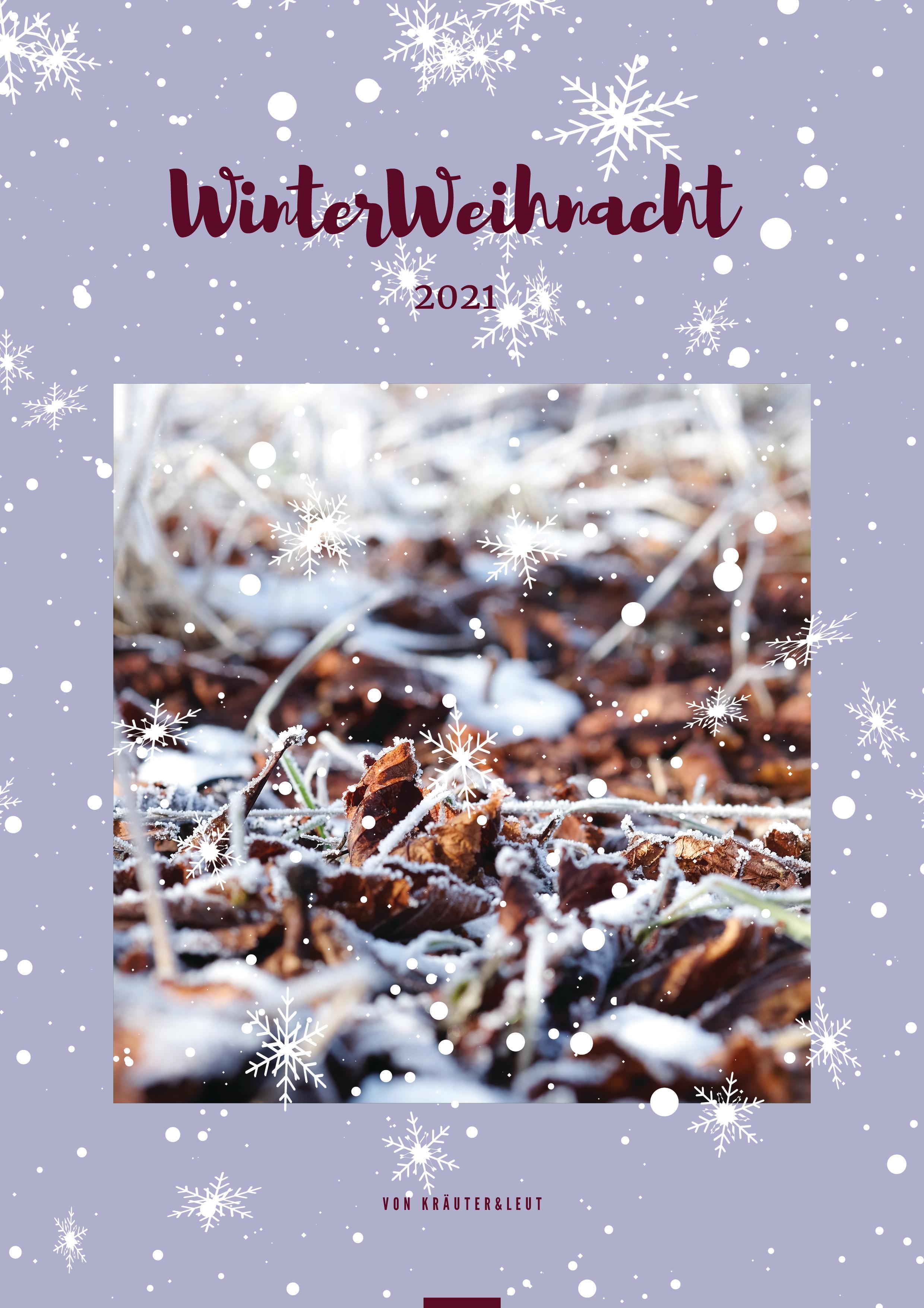 Cover WinterWeihnachtsEbook