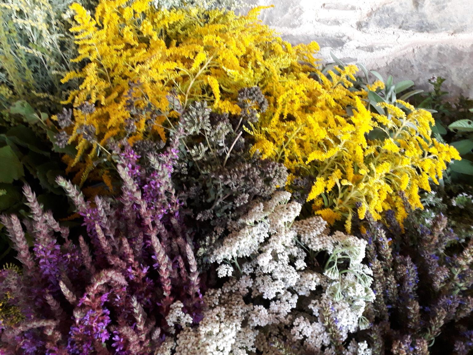 Gelbe, pinke und weiße Blüten in einem Korb.