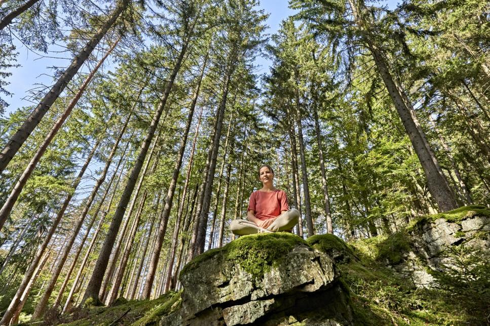 Kleine Wald-Zeit in Bad Weißenstadt