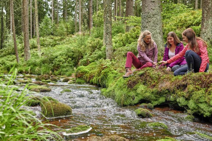 Wald-Gesundheitstraining – den Wald mit allen Sinnen genießen