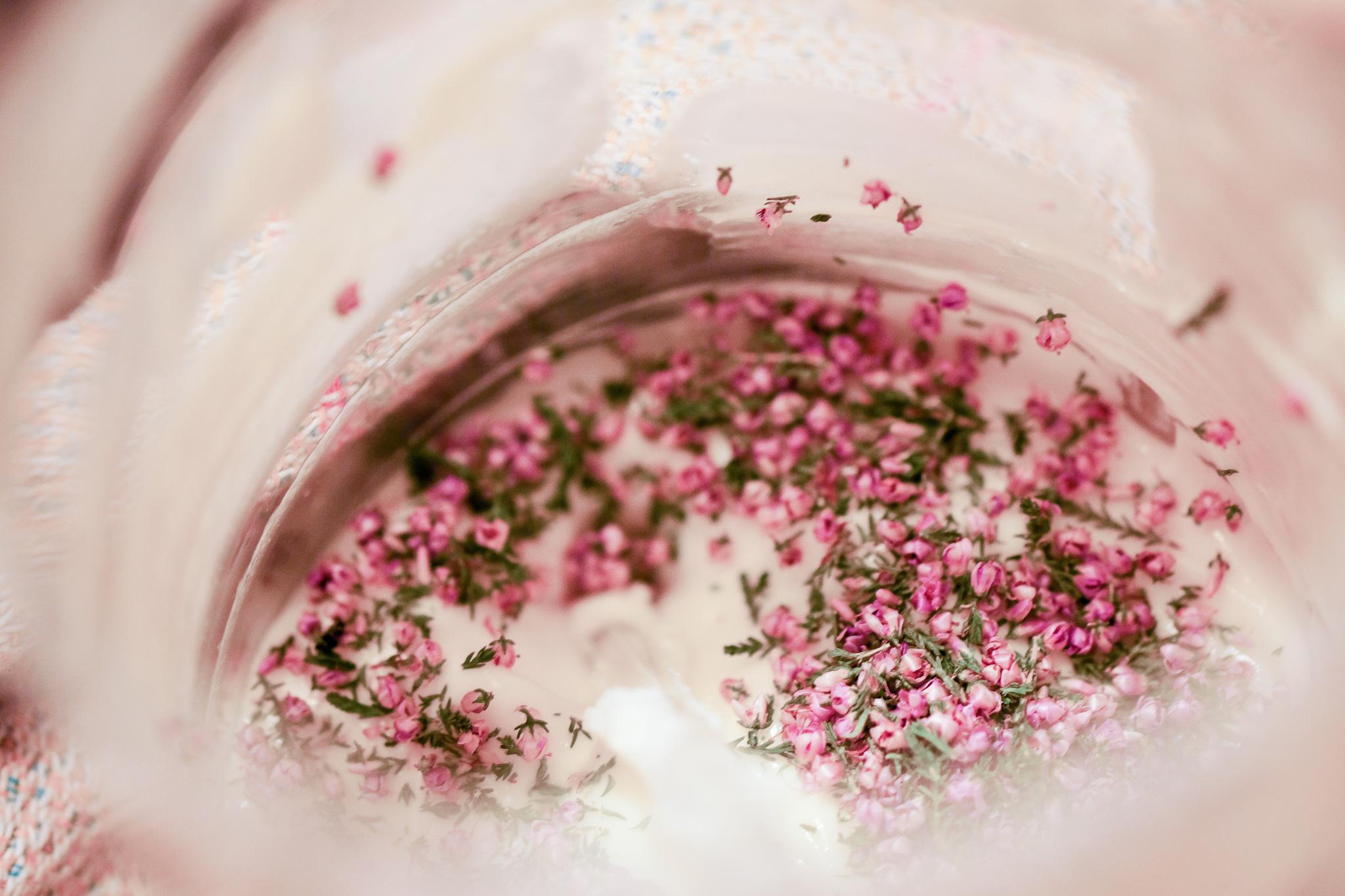 Rosa Blüten in Gefäß auf Salbencreme