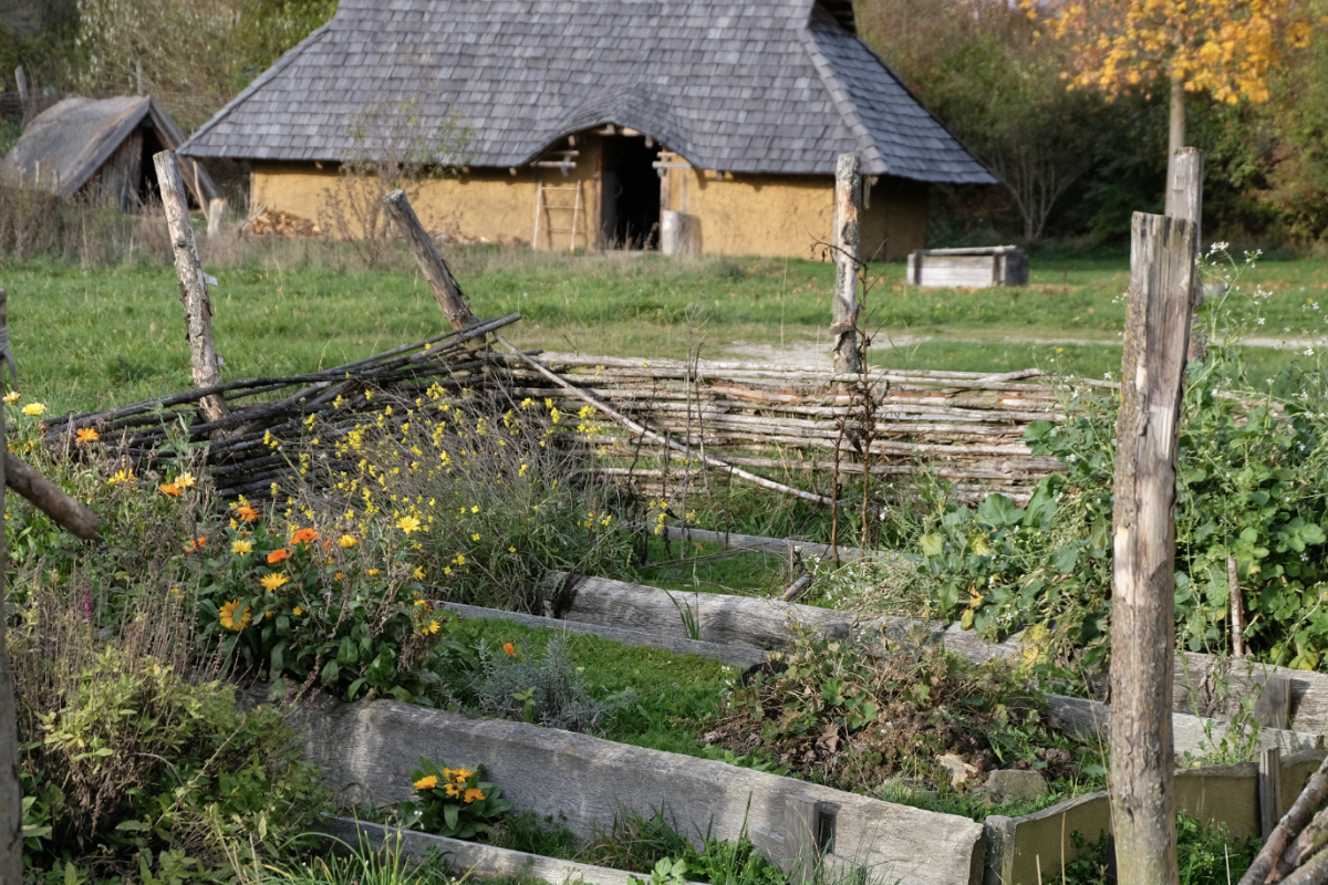 Nachwachsende Möbel - Im Geschichtspark Bärnau-Tachov